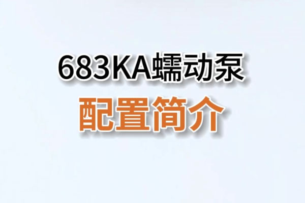 683KA蠕動(dòng)泵配置簡(jiǎn)介