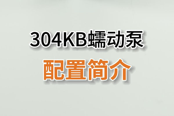 304KB蠕動泵產品配置簡介