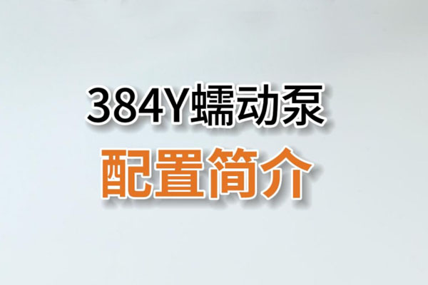 384Y蠕動泵產品配置簡介